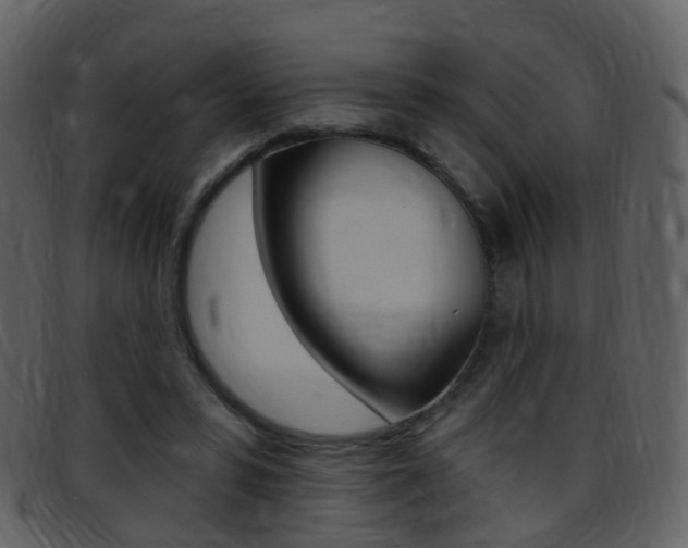 X0000096660399200802051001