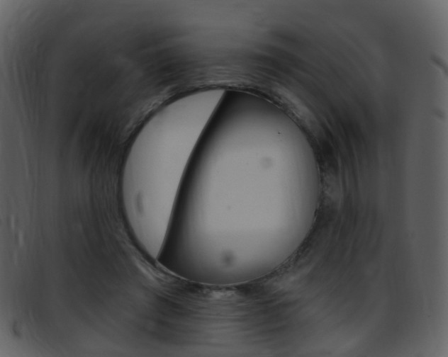 X0000096660401200802051001