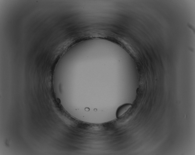 X0000096660402200802051001