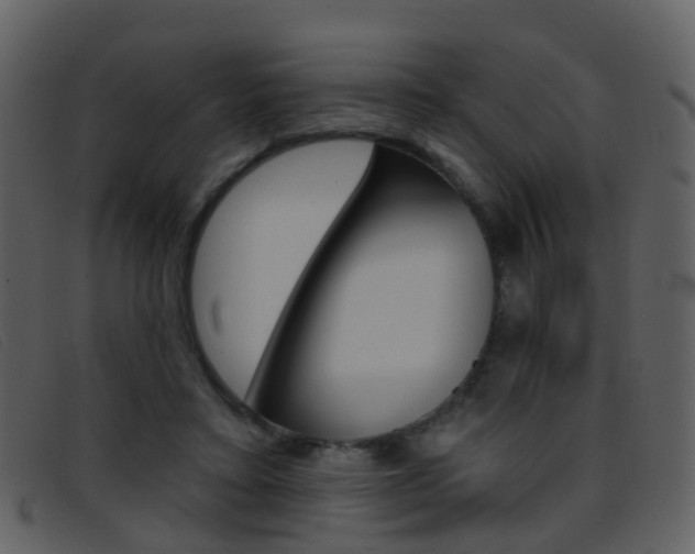 X0000096660403200802051001