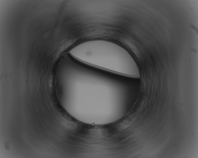 X0000096660404200802051001