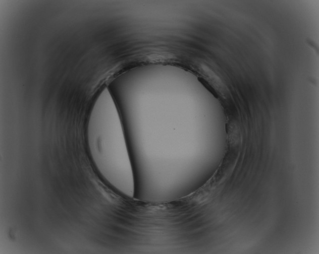 X0000096660405200802051001