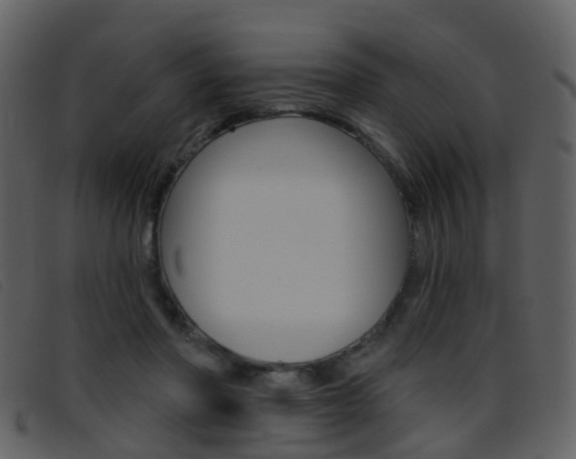 X0000096660406200802051001