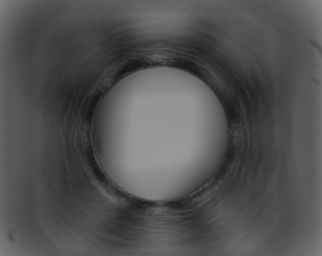X0000096660408200802051001