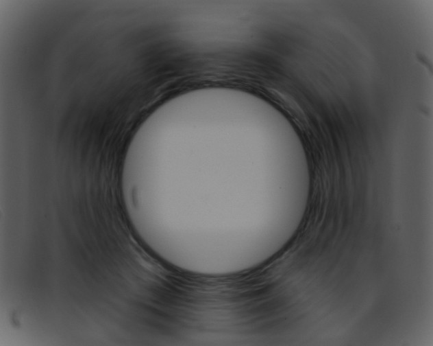 X0000096660409200802051001