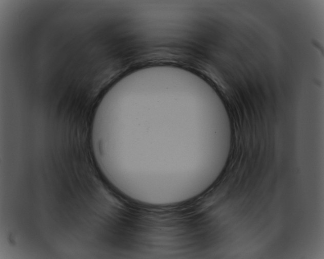X0000096660411200802051001