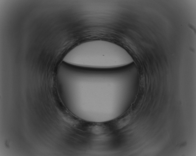 X0000096660412200802051001