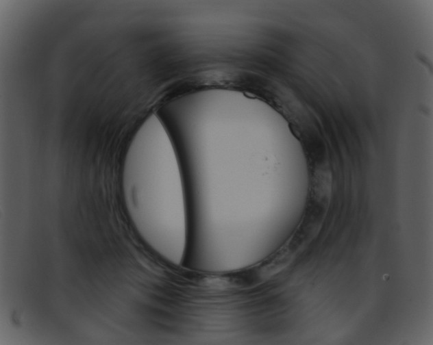 X0000096660413200802051001