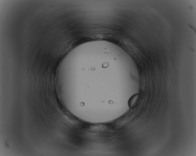 X0000096660414200802051001