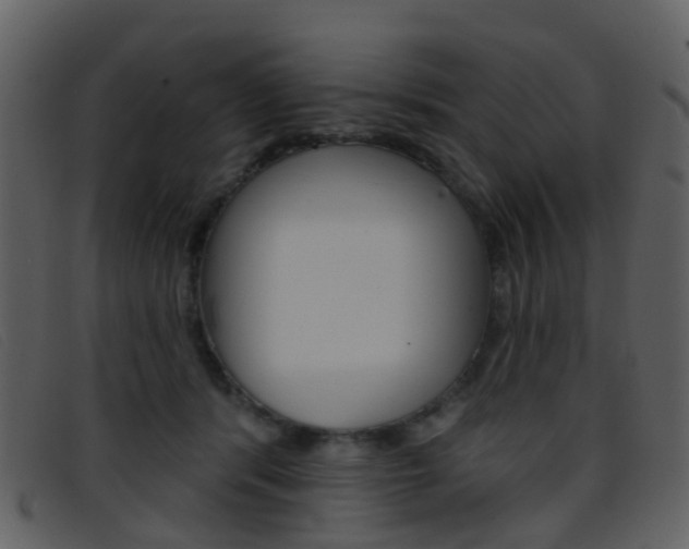 X0000096660416200802051001