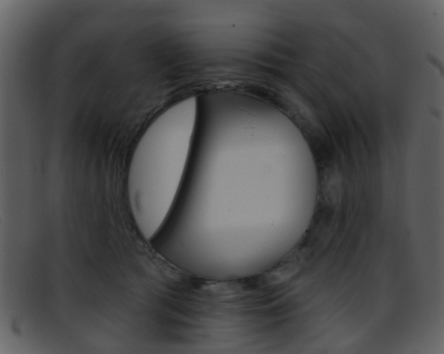 X0000096660417200802051001