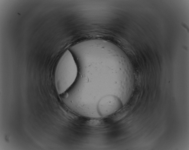X0000096660418200802051001