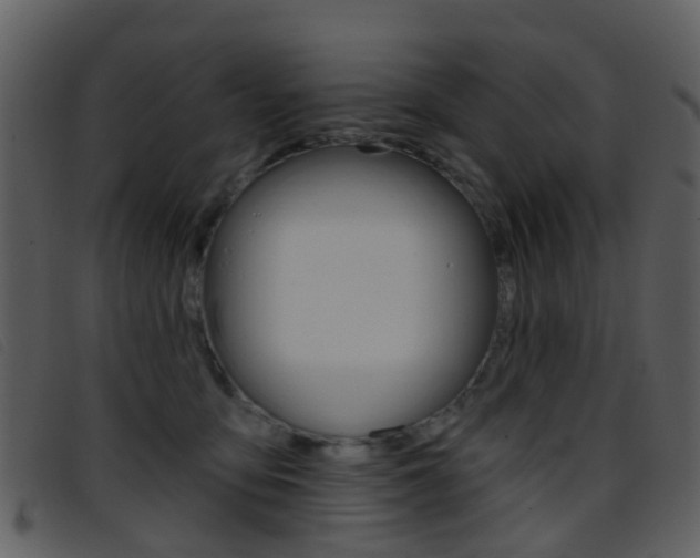 X0000096660419200802051001