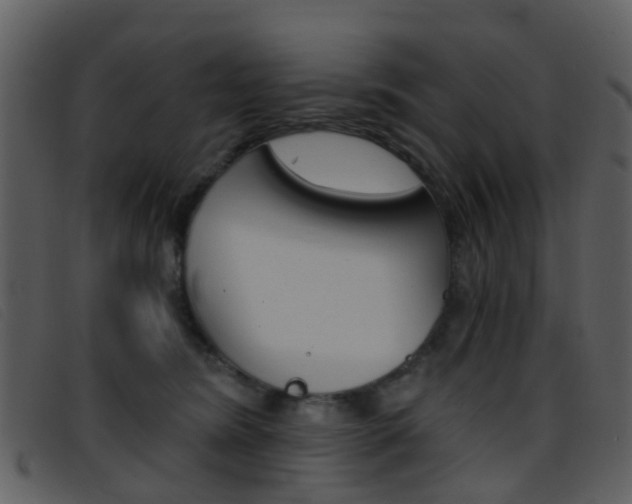 X0000096660420200802051001