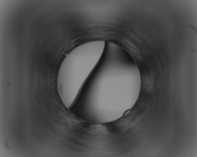 X0000096660421200802051001