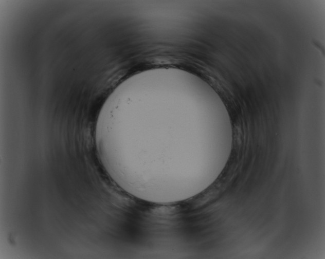 X0000096660422200802051001