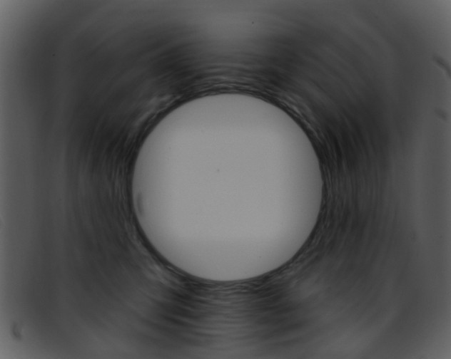 X0000096660423200802051001