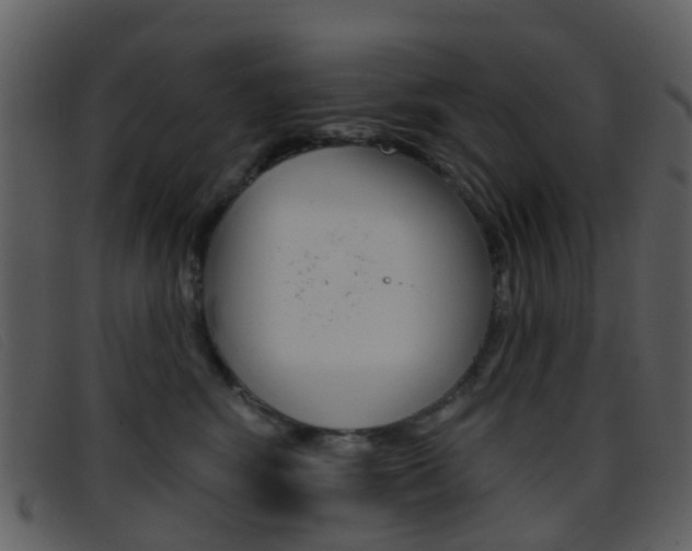 X0000096660424200802051001