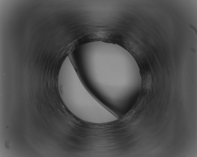 X0000096660425200802051001