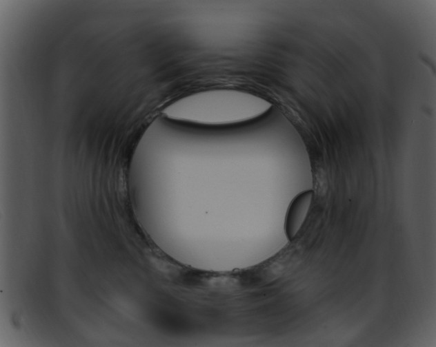 X0000096660426200802051001