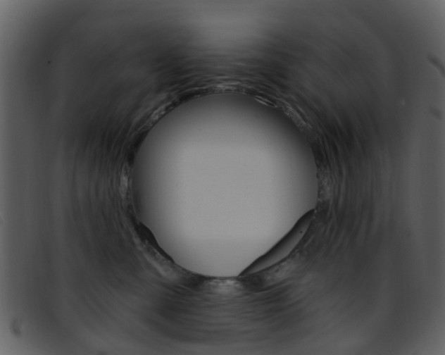 X0000096660427200802051001