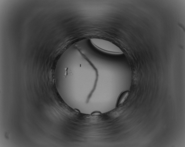 X0000096660428200802051001