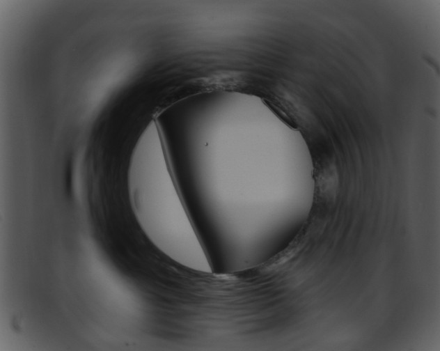 X0000096660429200802051001
