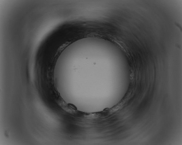 X0000096660430200802051001