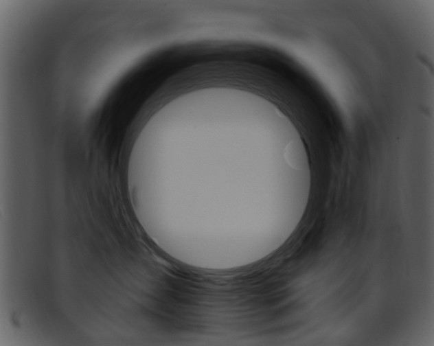 X0000096660431200802051001