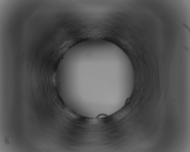 X0000096660432200802051001