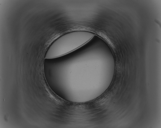 X0000096660433200802051000