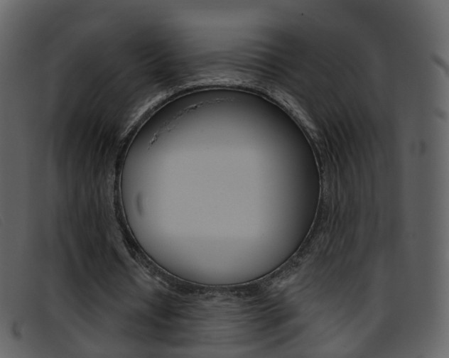X0000096660434200802051000