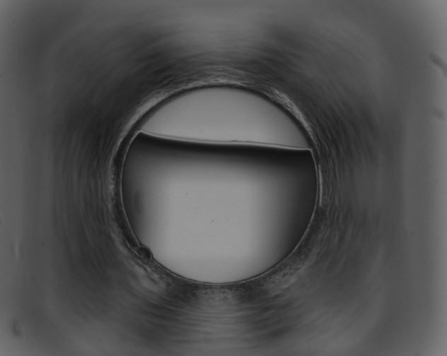 X0000096660435200802051000