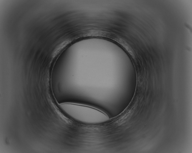 X0000096660437200802051000