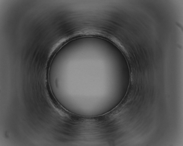 X0000096660438200802051000