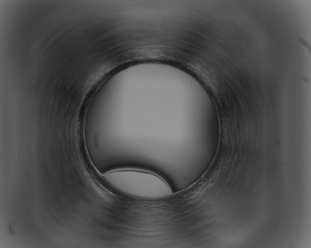 X0000096660439200802051000