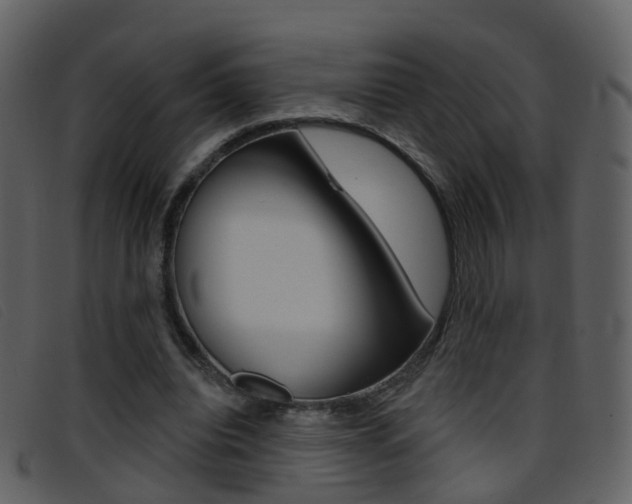 X0000096660440200802051000