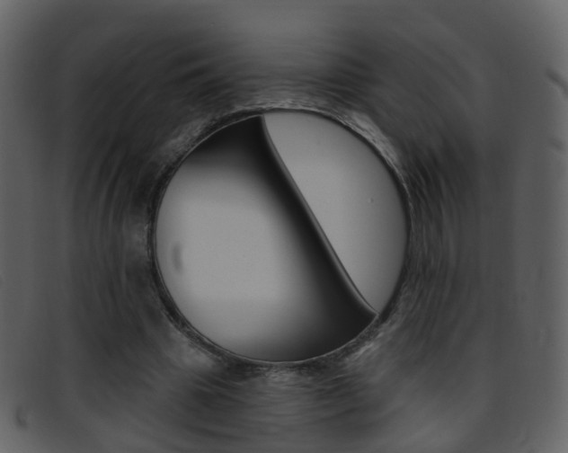 X0000096660441200802051000