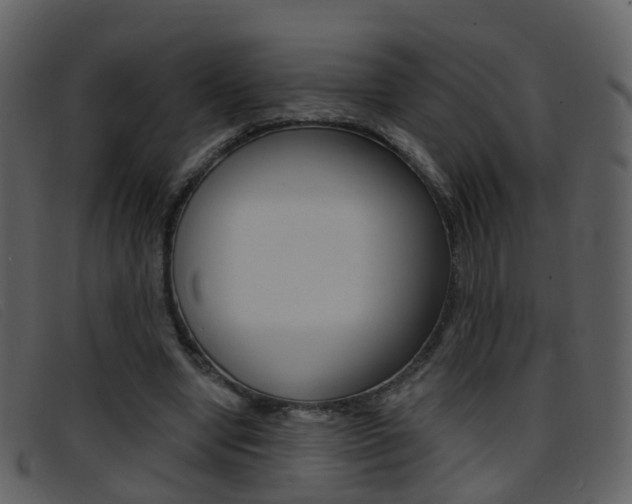 X0000096660442200802051000