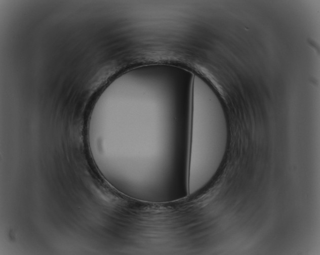 X0000096660443200802051000