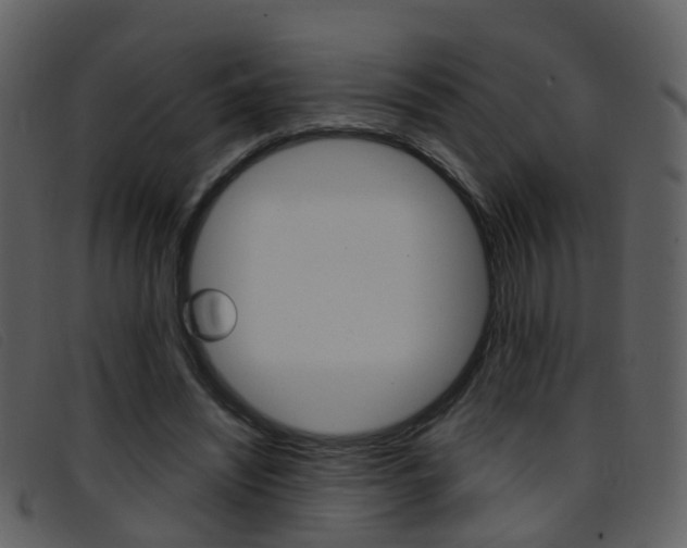 X0000096660444200802051000
