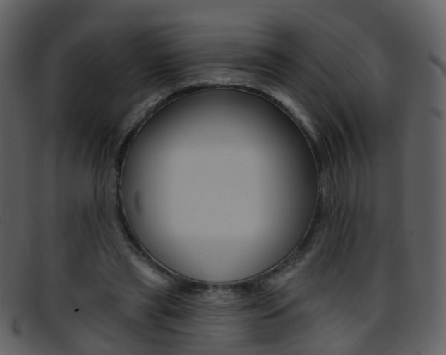 X0000096660445200802051000