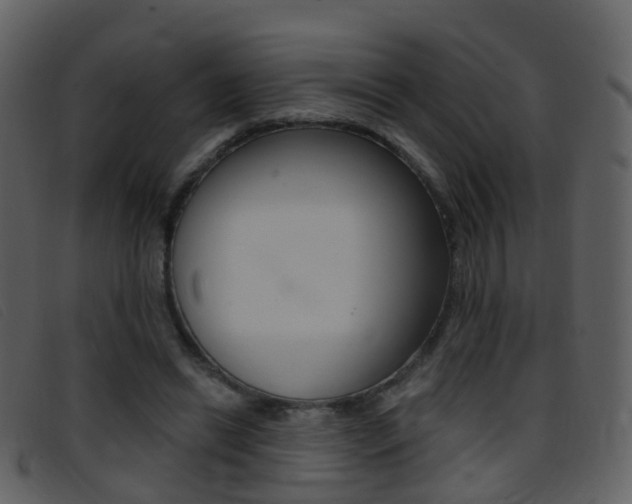 X0000096660446200802051000