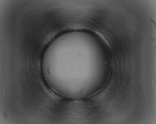 X0000096660447200802051000