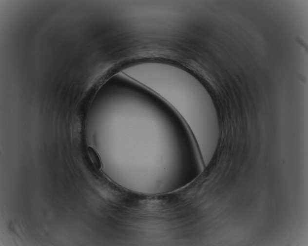 X0000096660448200802051000