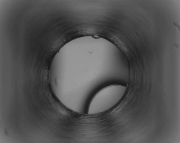 X0000096660449200802051000