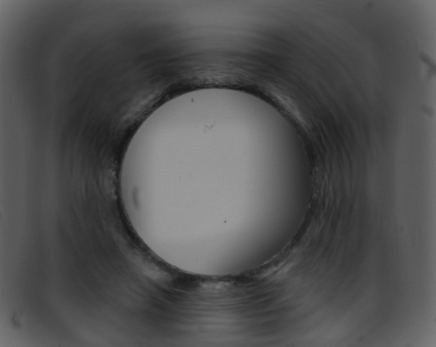 X0000096660450200802051000