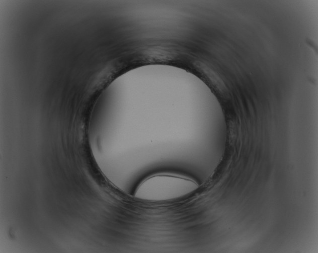 X0000096660451200802051000
