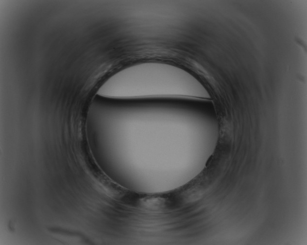 X0000096660452200802051000