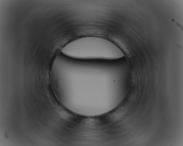 X0000096660453200802051000